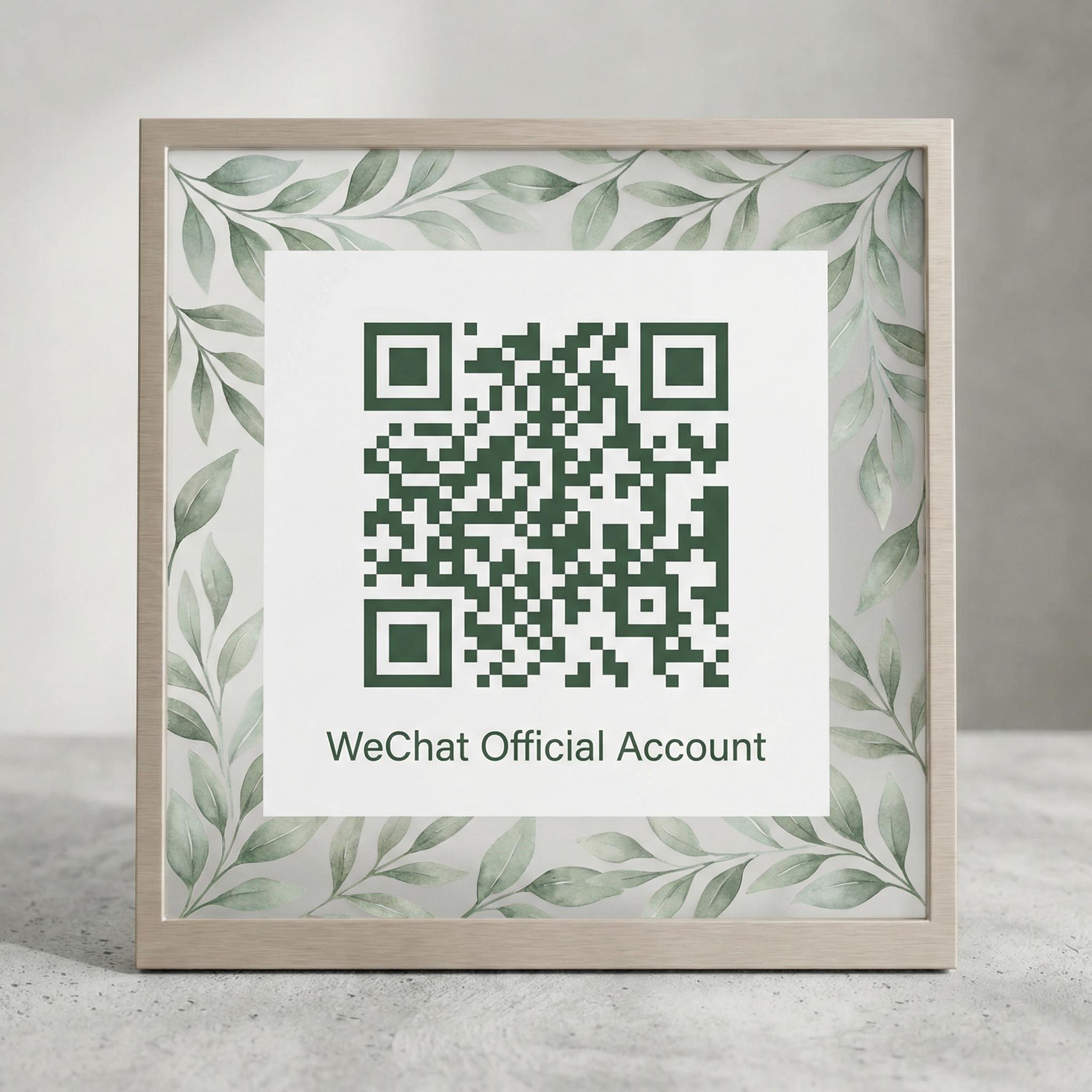 麻豆公众号二维码